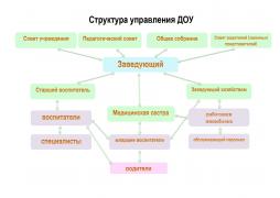 Структура и органы управления образовательной организацией